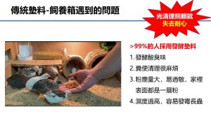 Problems of traditional litter feeding of rutin chicken