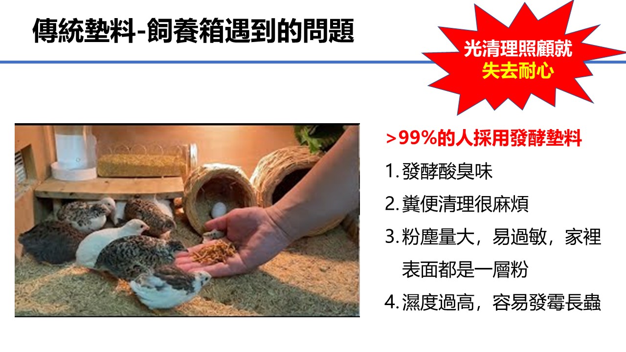 Problems of traditional litter feeding of rutin chicken